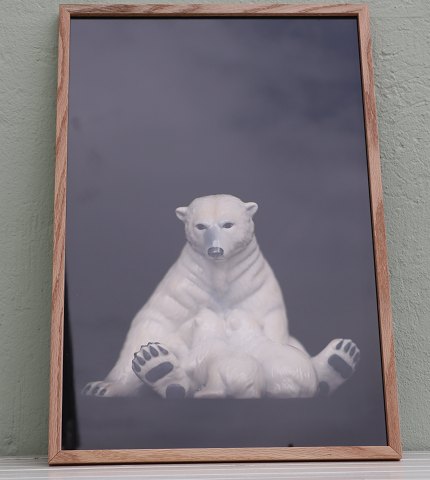Lars Dyrendom: No #3 Polar Bear  Photo including glass and wooden frame 62.5 x 
42.5 cm